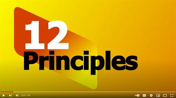 The 12 Updated Principles of Good Local Governance