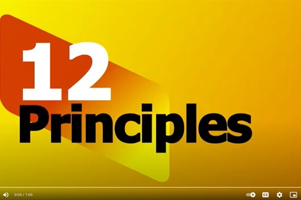 The 12 Updated Principles of Good Local Governance